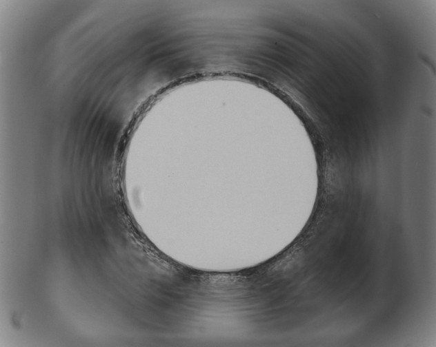 X0000103480832200809120926