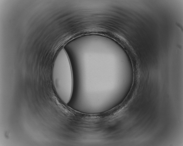X0000103480833200809120926