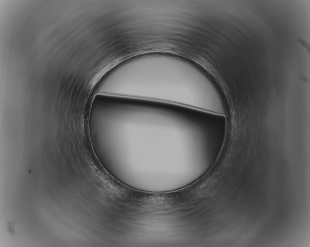 X0000103480834200809120926