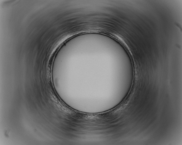 X0000103480835200809120926