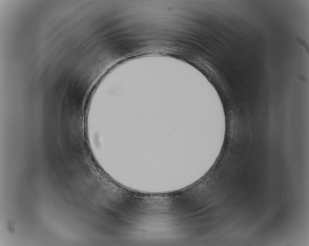 X0000103480836200809120926