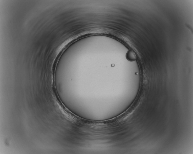 X0000103480837200809120926