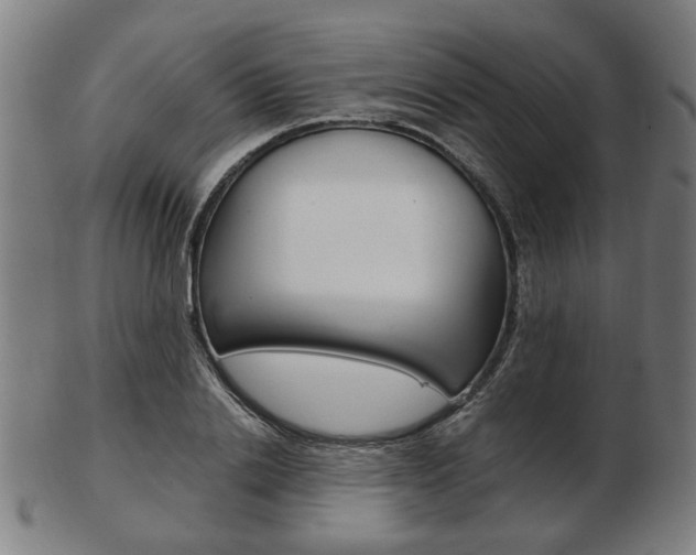 X0000103480838200809120926