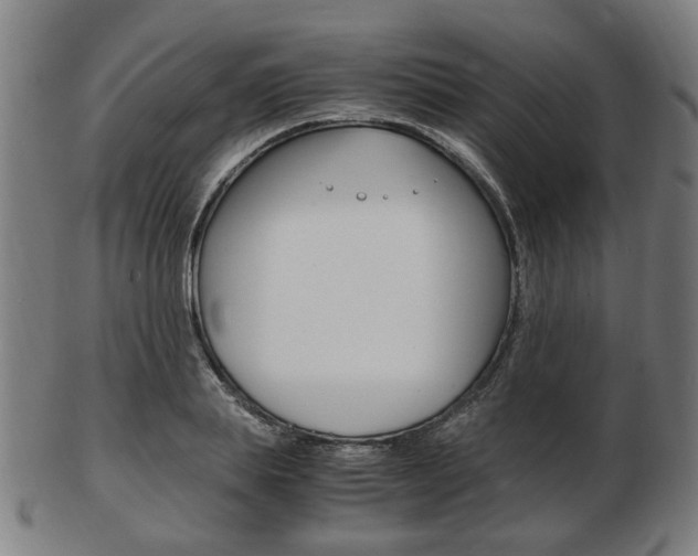 X0000103480839200809120926