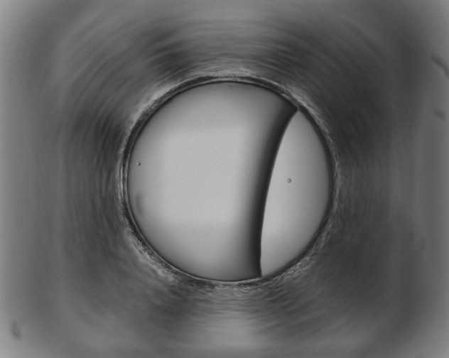 X0000103480840200809120926