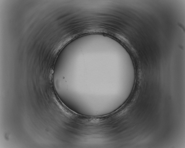 X0000103480841200809120926