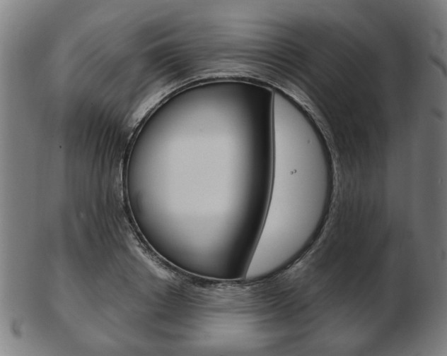 X0000103480842200809120926