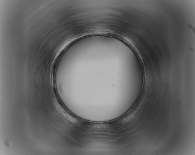X0000103480843200809120926