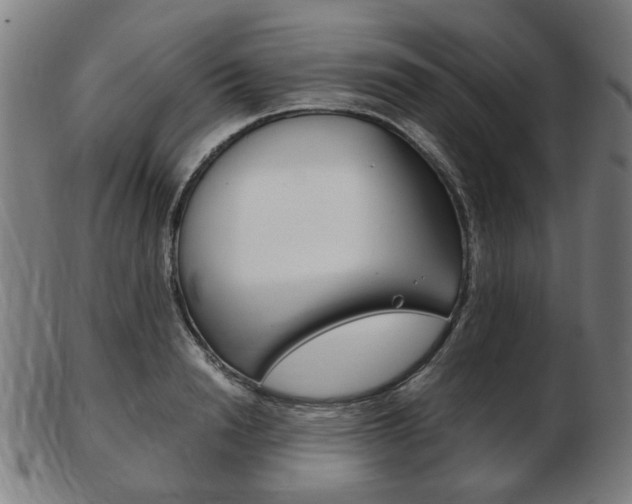 X0000103480846200809120926