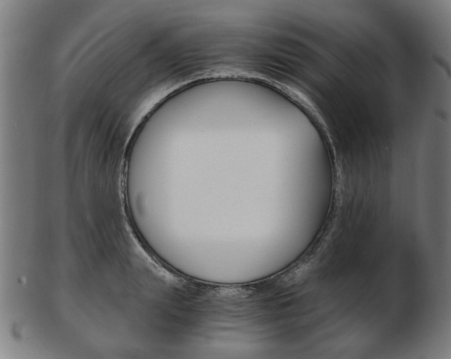 X0000103480847200809120926