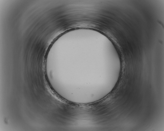 X0000103480848200809120926