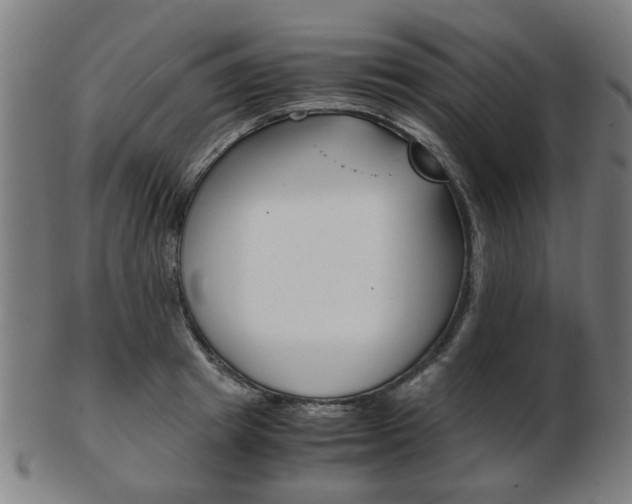 X0000103480849200809120926