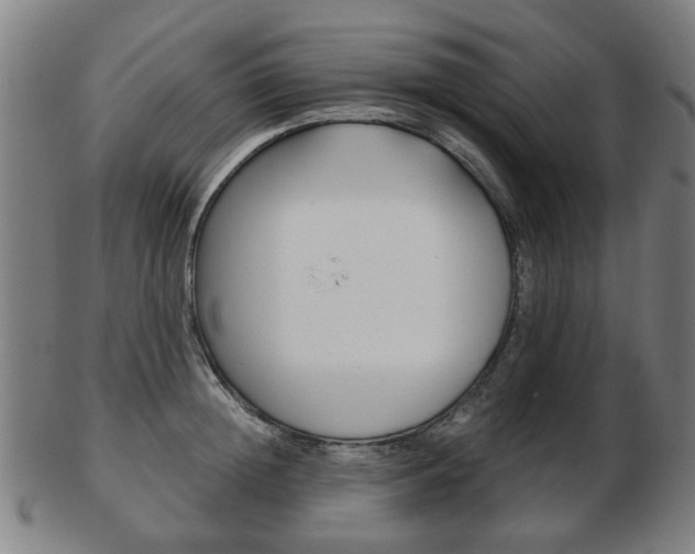 X0000103480852200809120926