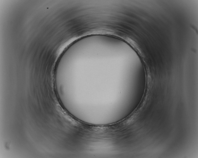 X0000103480854200809120926