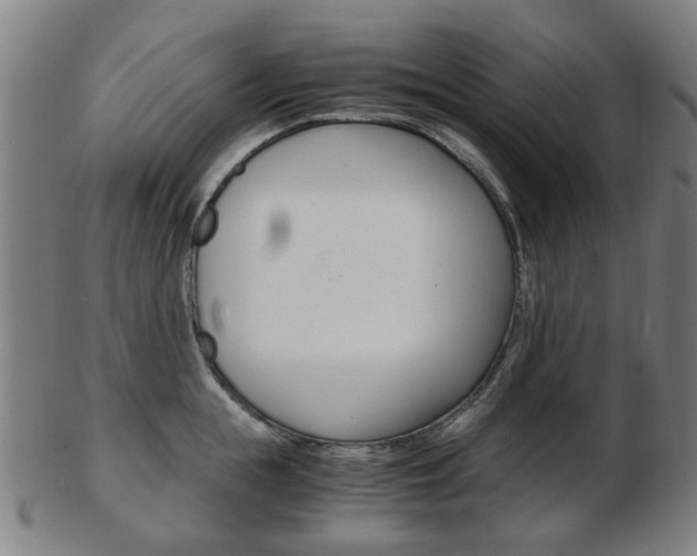X0000103480855200809120926