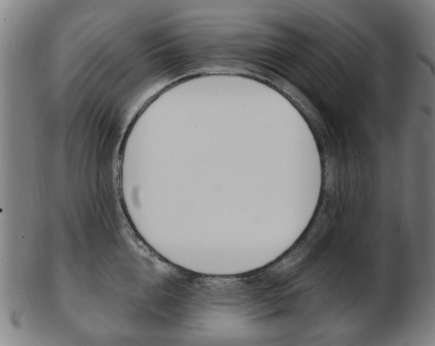 X0000103480856200809120926
