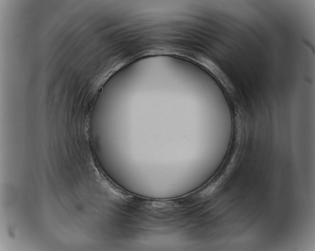 X0000103480857200809120926