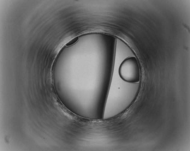 X0000103480858200809120926
