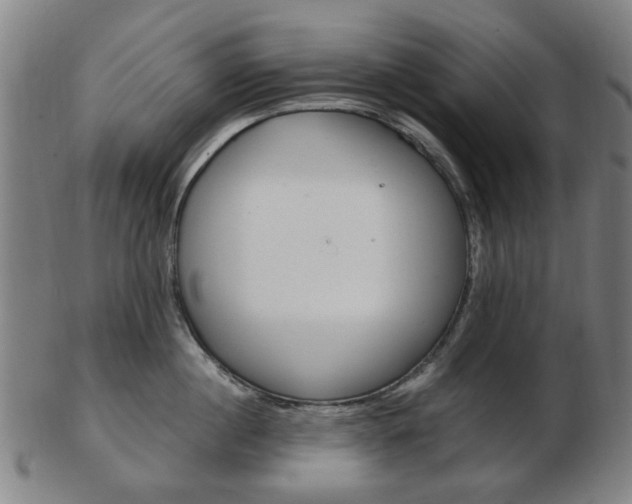 X0000103480860200809120926