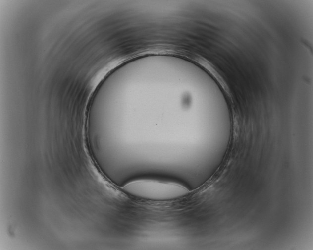 X0000103480861200809120926