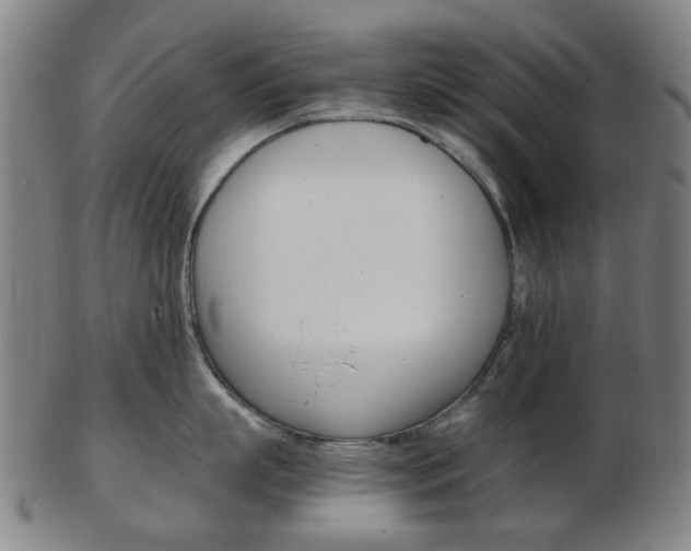 X0000103480863200809120926
