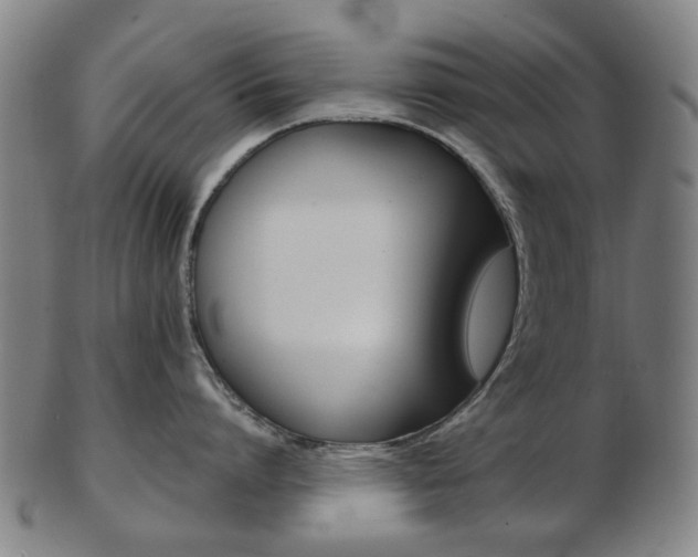X0000103480864200809120926