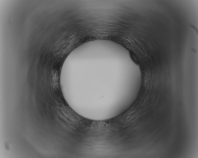 X0000103480866200809120926