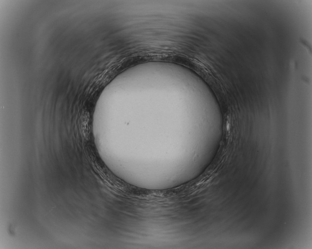 X0000103480867200809120926