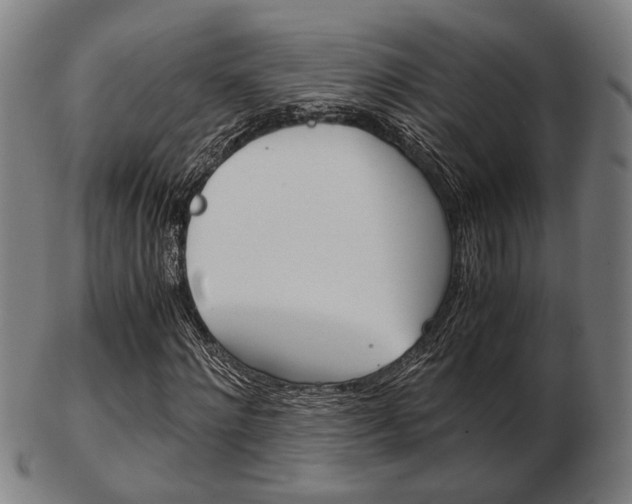 X0000103480868200809120926