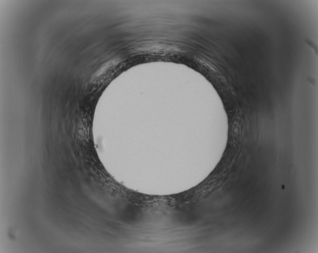 X0000103480869200809120926