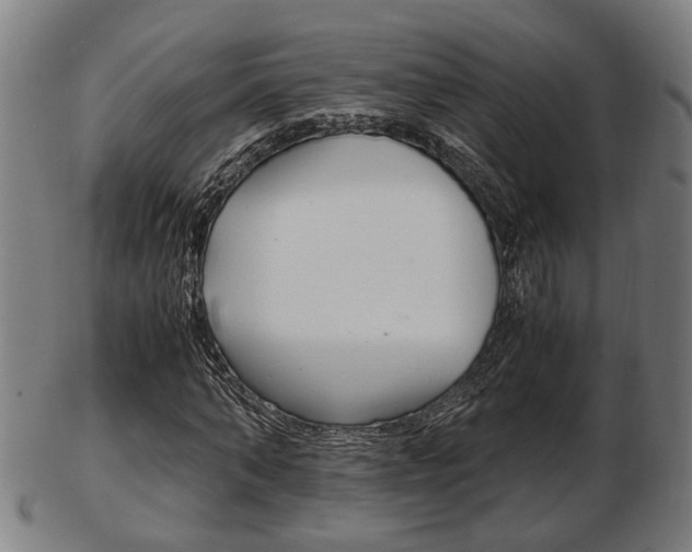 X0000103480870200809120926
