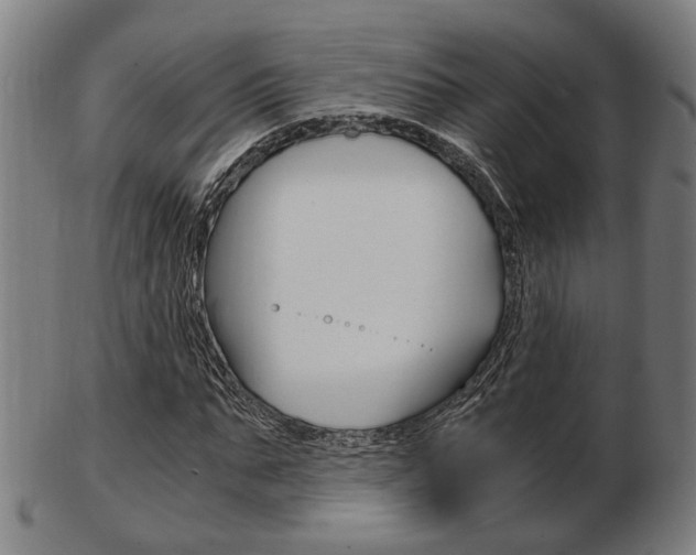 X0000103480871200809120926
