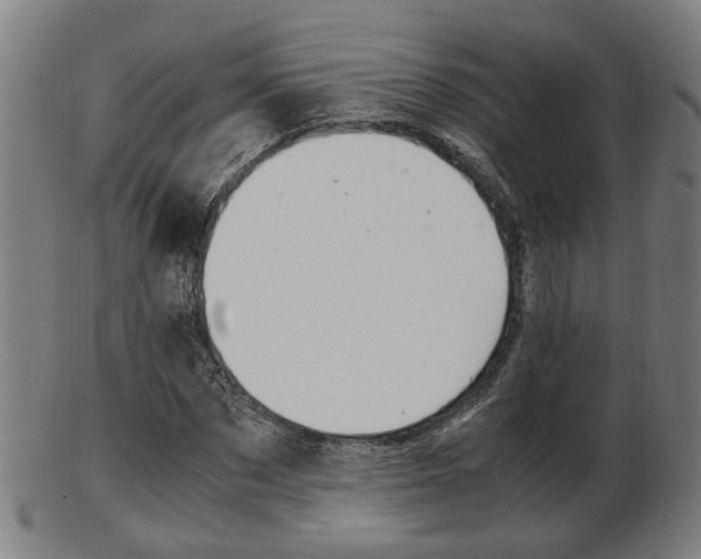 X0000103480873200809120926