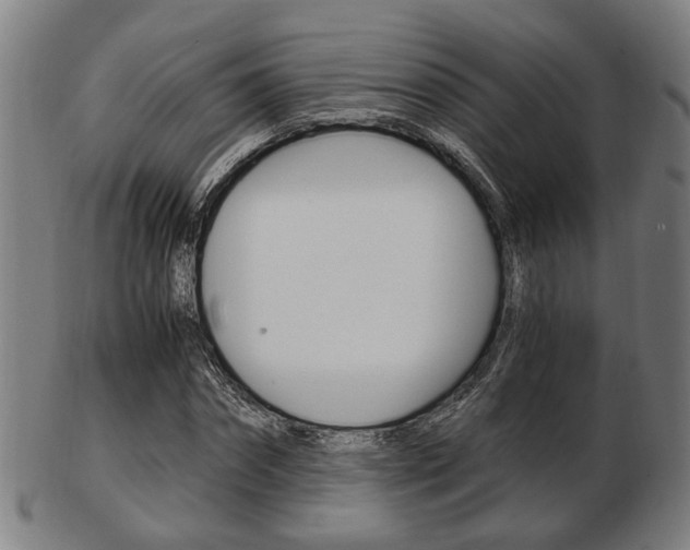 X0000103480874200809120926