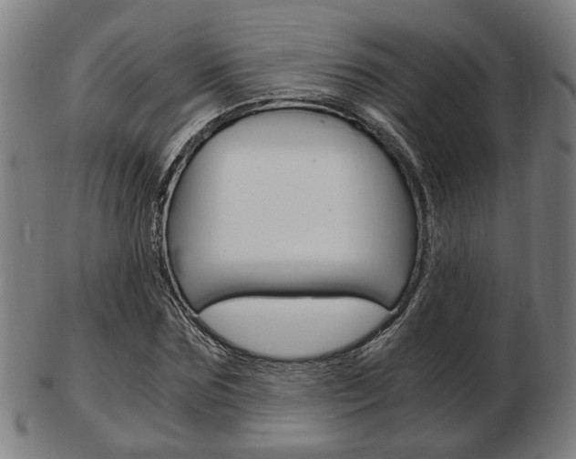 X0000103480875200809120926