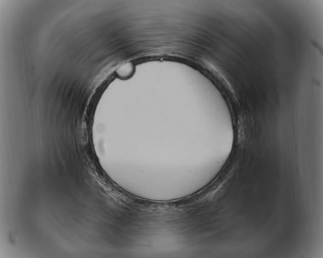 X0000103480876200809120926