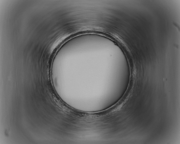 X0000103480877200809120926