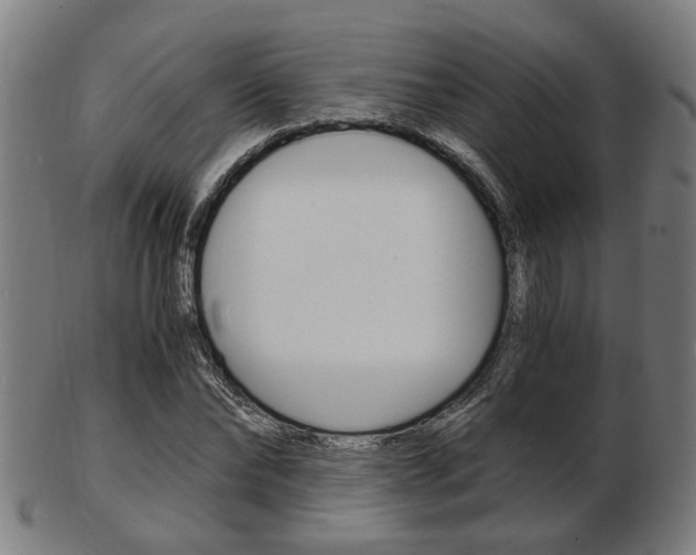 X0000103480878200809120926