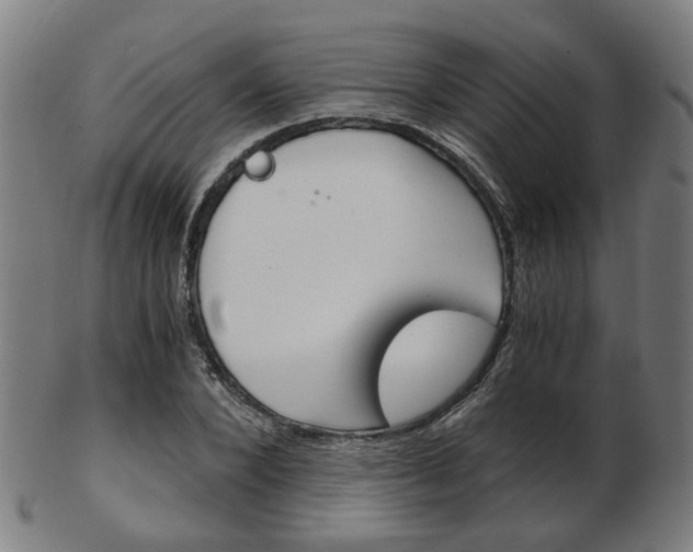 X0000103480880200809120926