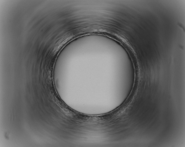 X0000103480881200809120926