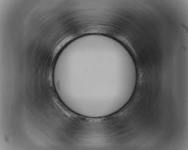X0000103480882200809120926