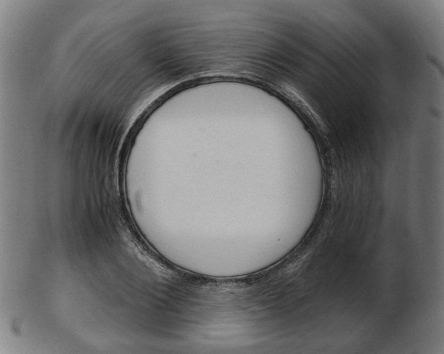 X0000103480884200809120926
