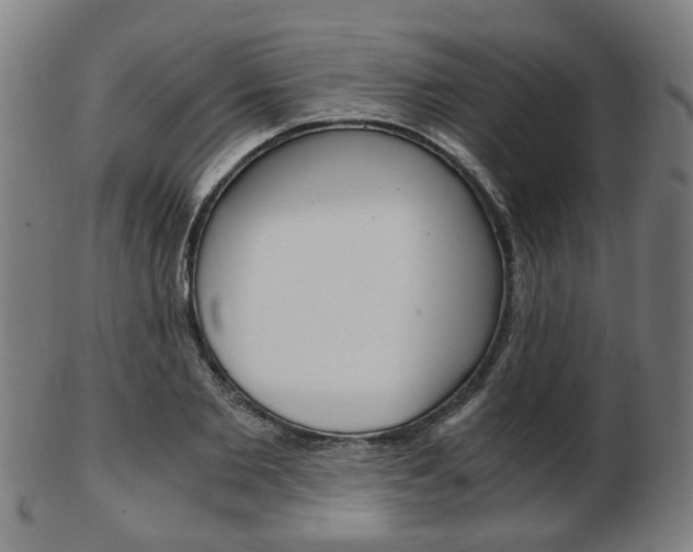 X0000103480885200809120926