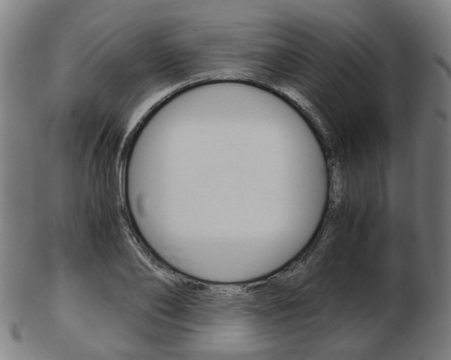 X0000103480886200809120926