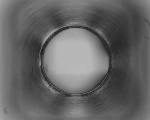 X0000103480888200809120925