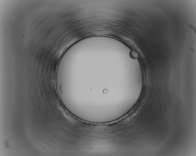 X0000103480889200809120925