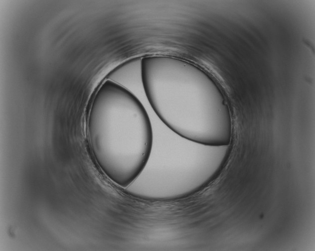 X0000103480891200809120925