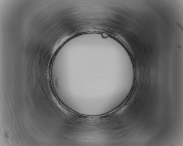 X0000103480893200809120925