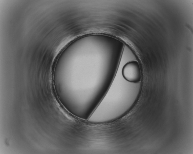 X0000103480894200809120925