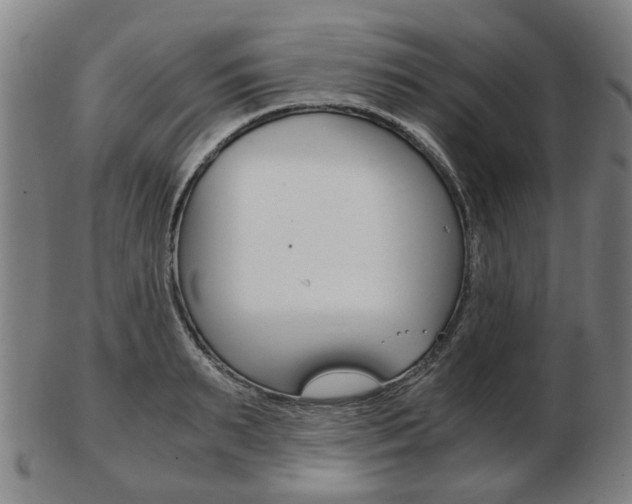 X0000103480895200809120925
